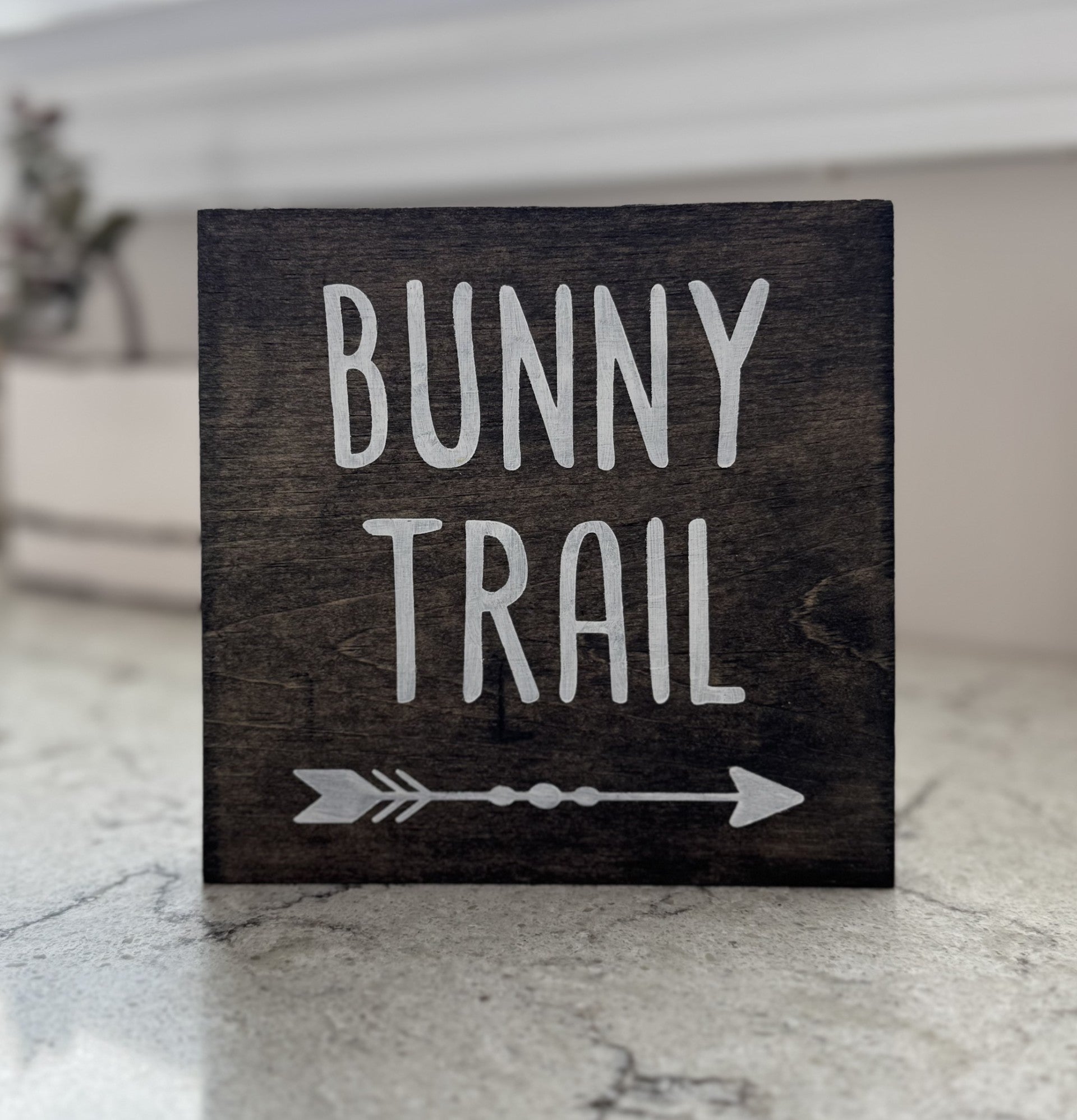 Bunny Trail Shelf Sitter